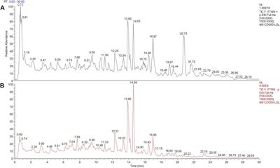 Aqueous extract of Amydrium sinense (Engl.) H. Li alleviates hepatic fibrosis by suppressing hepatic stellate cell activation through inhibiting Stat3 signaling